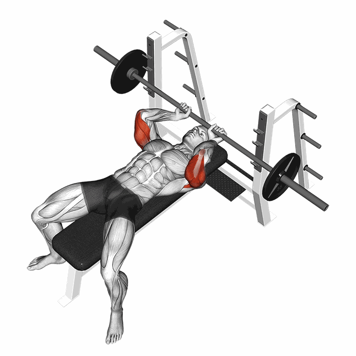 Barbell Lying Extension demonstration