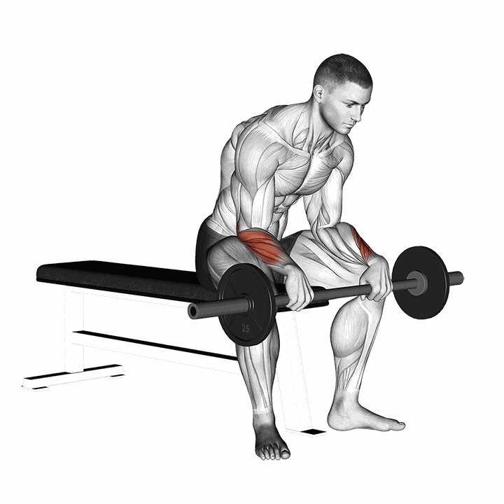 Barbell Reverse Wrist Curl V. 2 demonstration