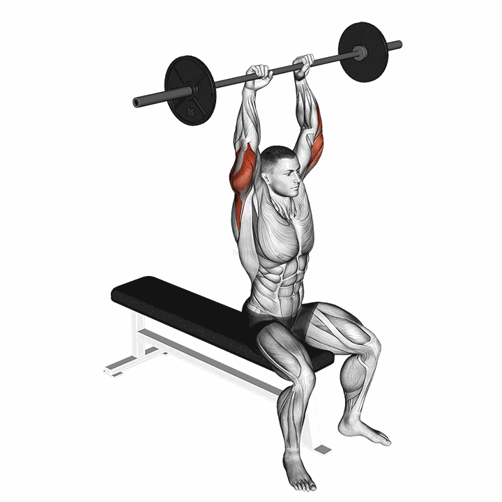 Barbell Seated Overhead Triceps Extension demonstration