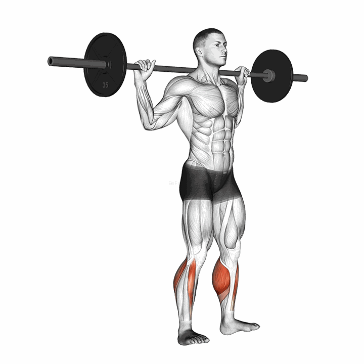 Barbell Standing Rocking Leg Calf Raise demonstration