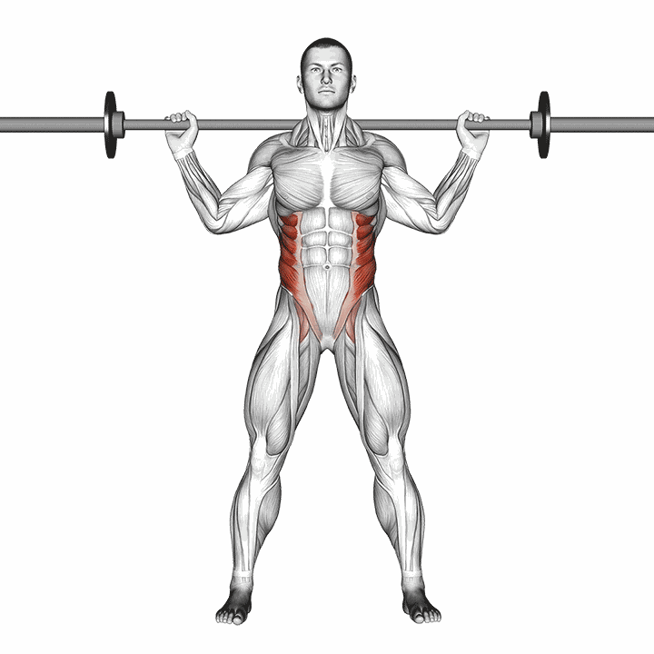 Barbell Standing Twist demonstration