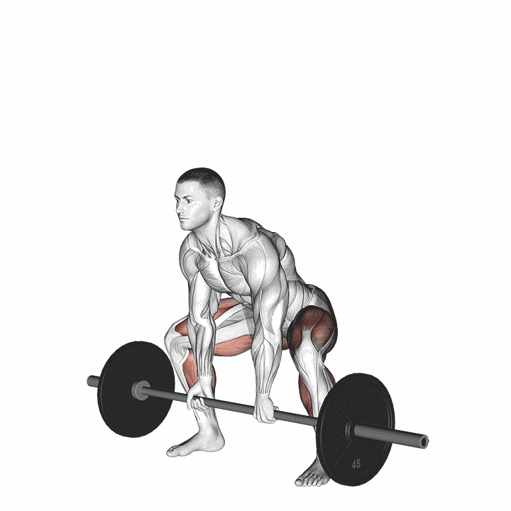 Barbell Sumo Deadlift demonstration