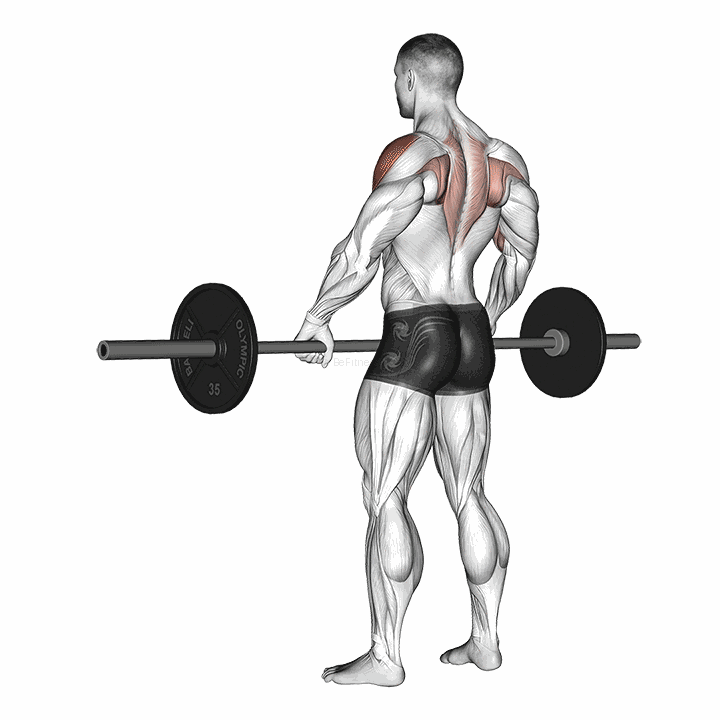 Barbell Wide-grip Upright Row demonstration