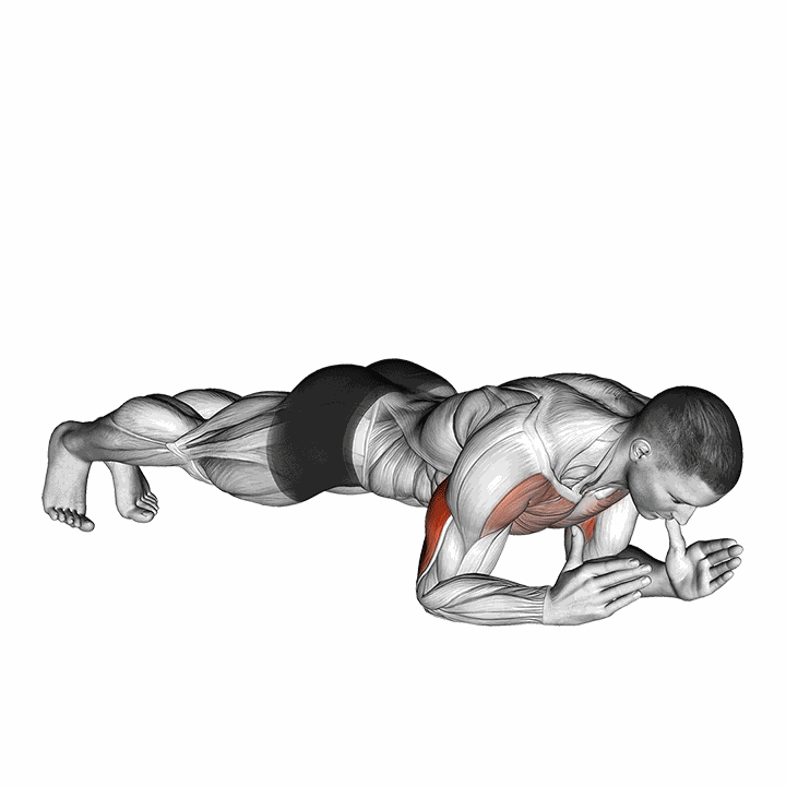 Body-up demonstration