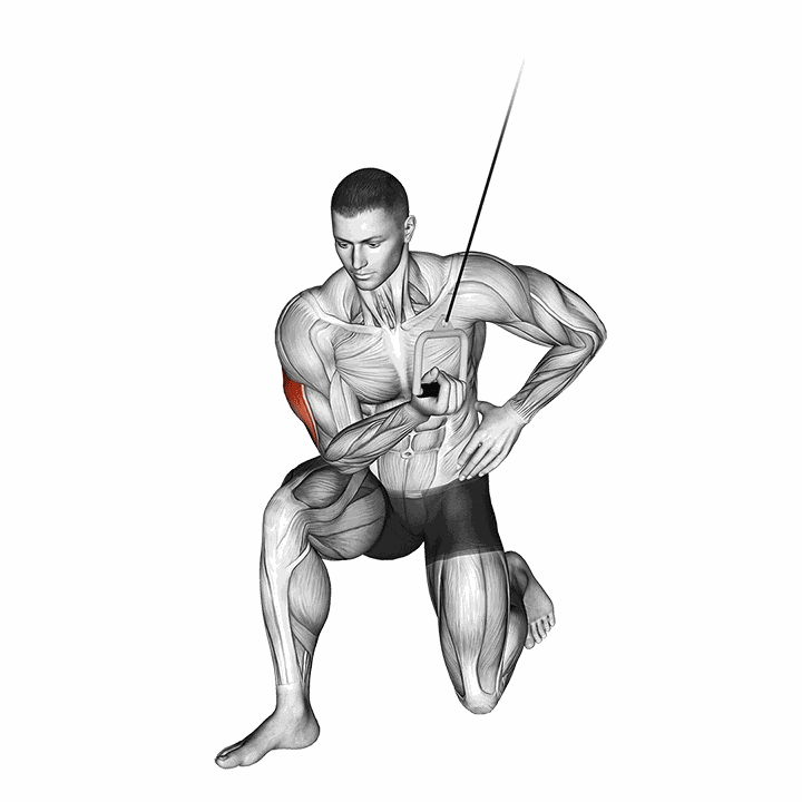 Cable Concentration Extension (on Knee) demonstration