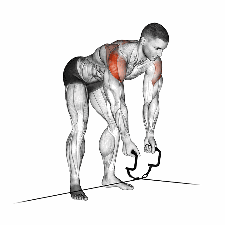 Cable Cross-over Reverse Fly demonstration