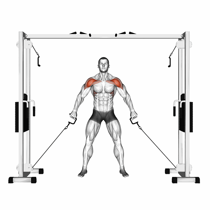 Cable Front Shoulder Raise demonstration