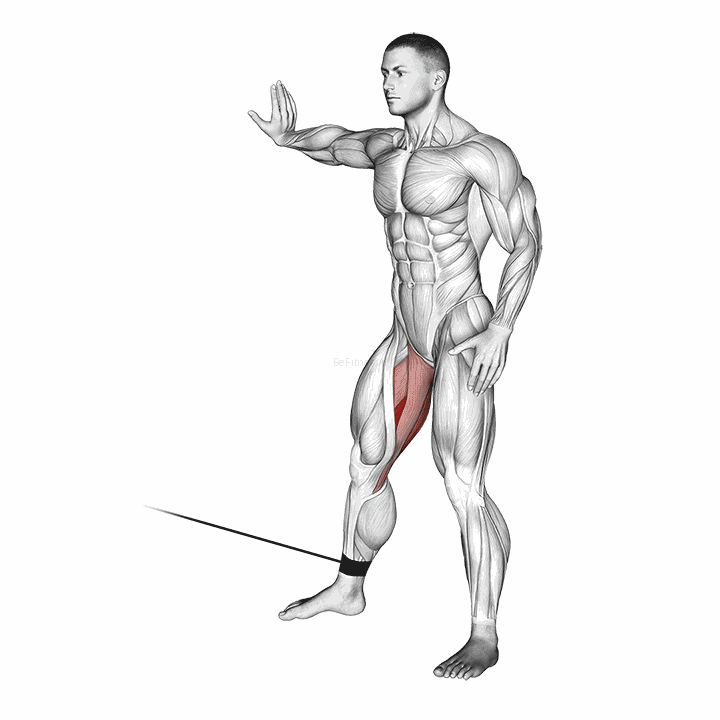 Cable Hip Adduction demonstration