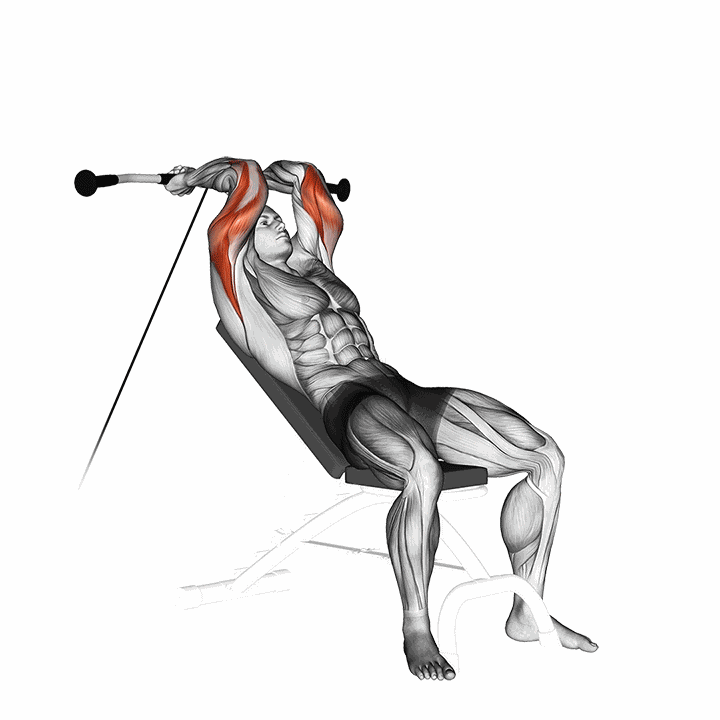 Cable Incline Triceps Extension demonstration