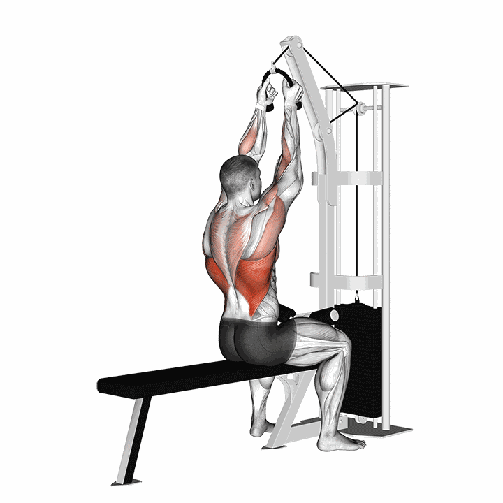 Cable Lateral Pulldown (with Rope Attachment) demonstration