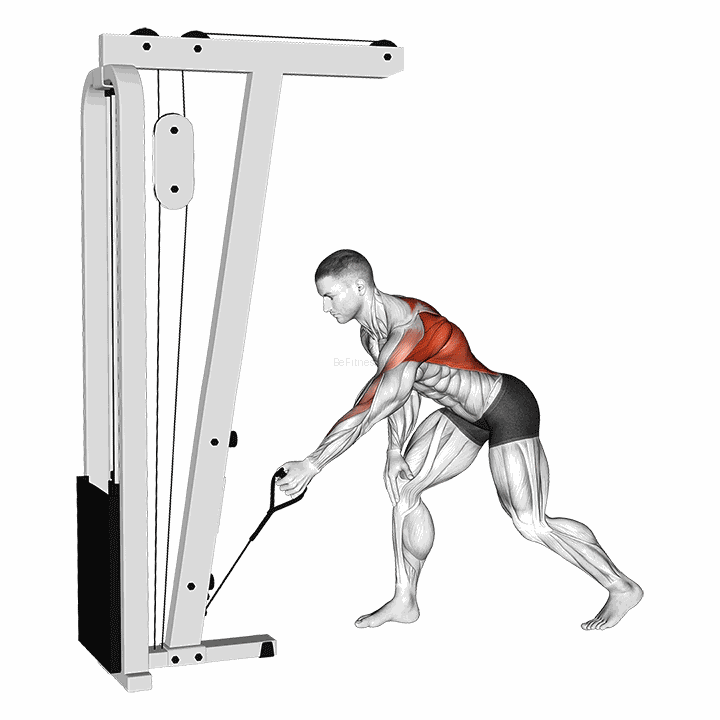 Cable One Arm Bent Over Row demonstration