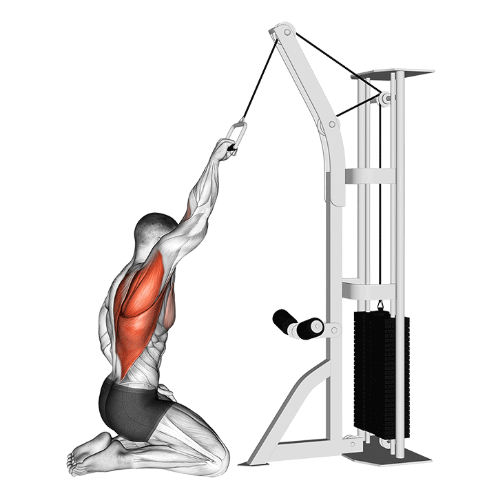 Cable One Arm Straight Back High Row (kneeling) demonstration