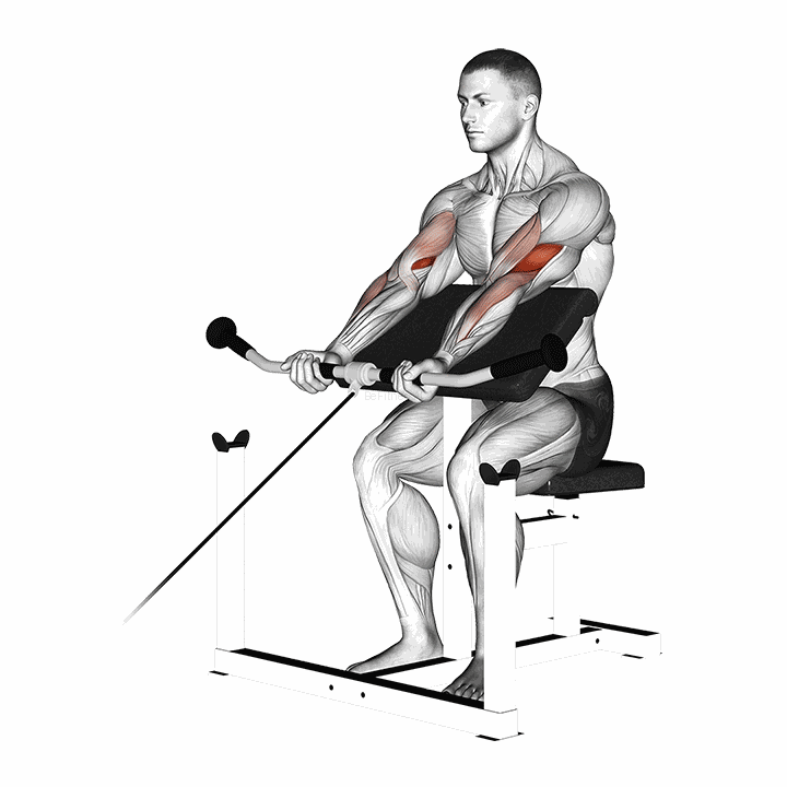 Cable Preacher Curl demonstration