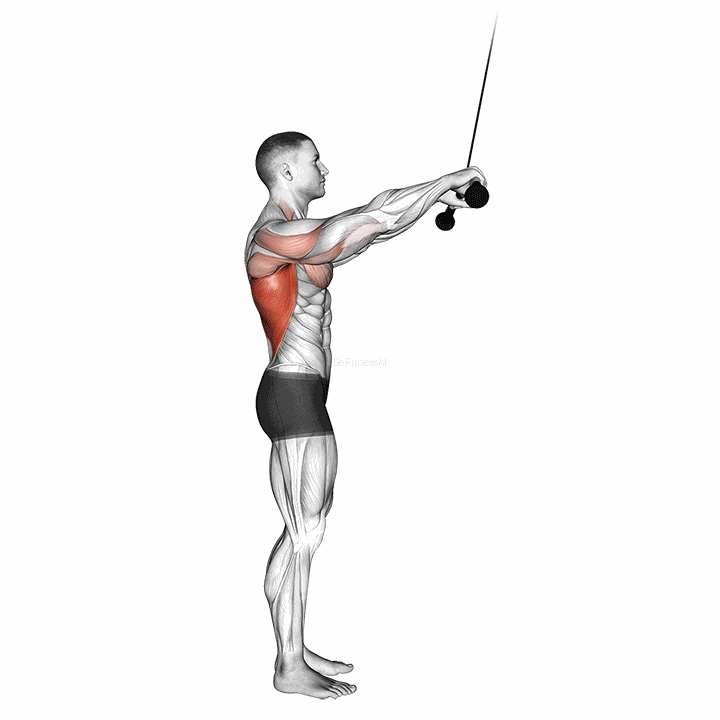 Cable Pushdown (straight Arm) V. 2 demonstration