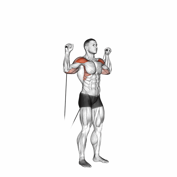 Cable Shoulder Press demonstration