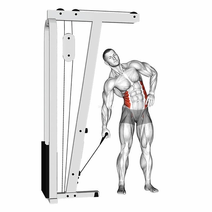 Cable Side Bend demonstration