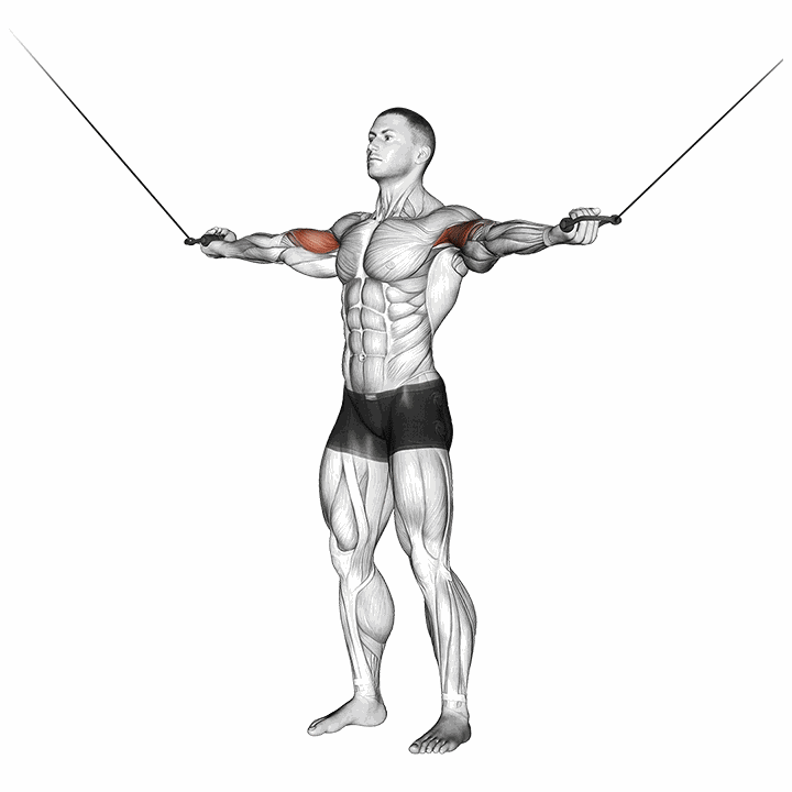 Cable Standing Inner Curl demonstration