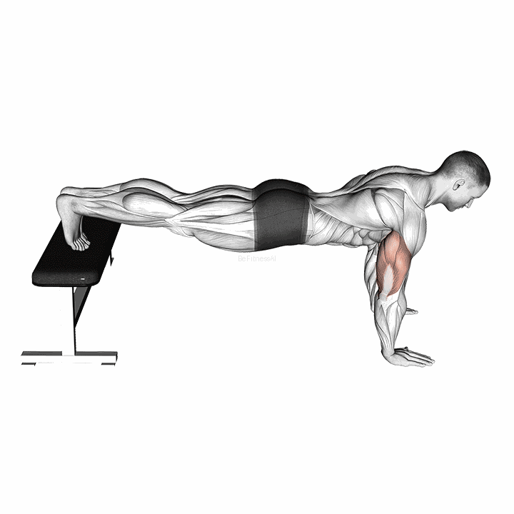 Decline Push-up demonstration