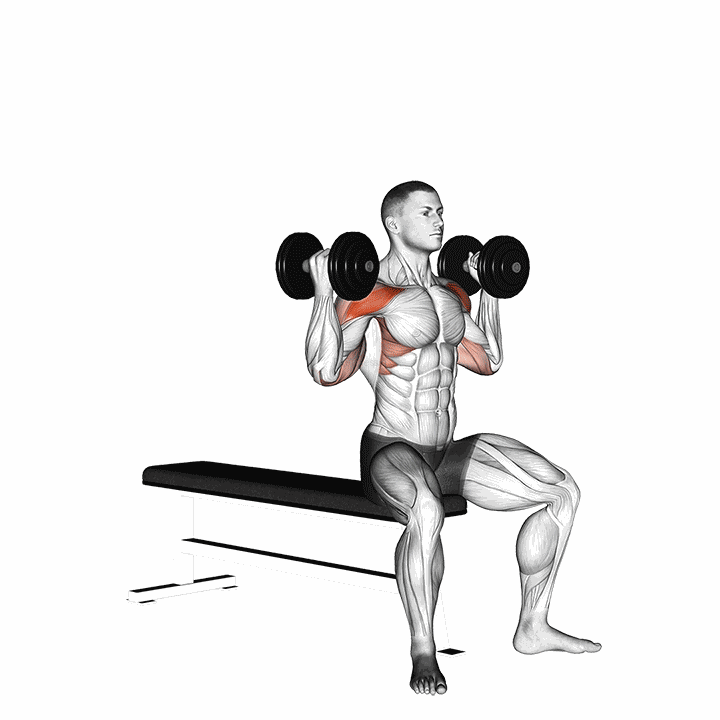 Dumbbell Arnold Press V. 2 demonstration