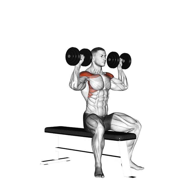 Dumbbell Bench Seated Press demonstration