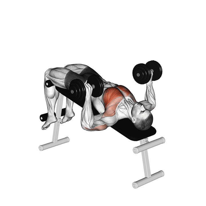Dumbbell Decline Bench Press demonstration