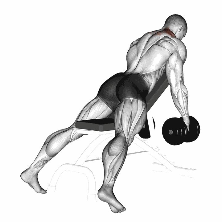 Dumbbell Decline Shrug V. 2 demonstration