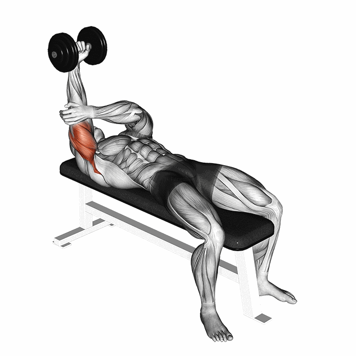 Dumbbell Lying One Arm Pronated Triceps Extension demonstration