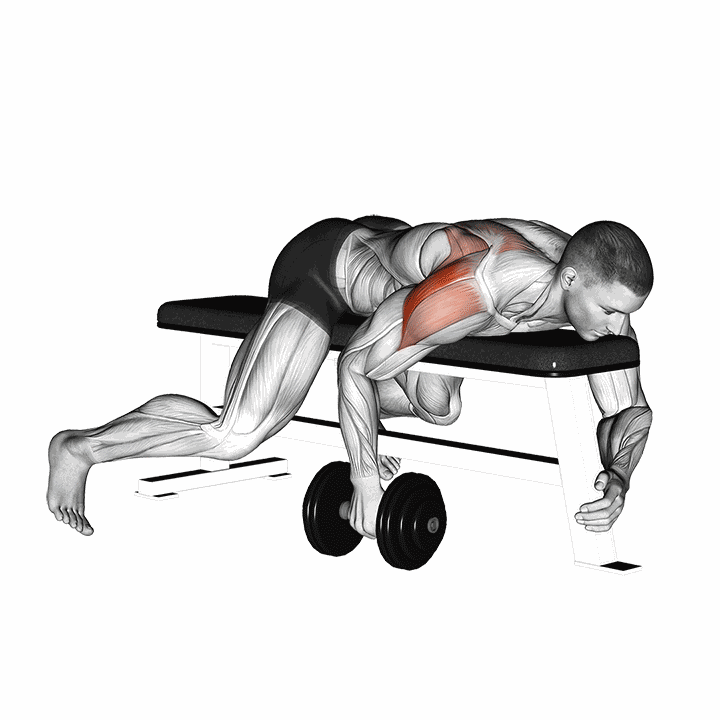Dumbbell Lying One Arm Rear Lateral Raise demonstration