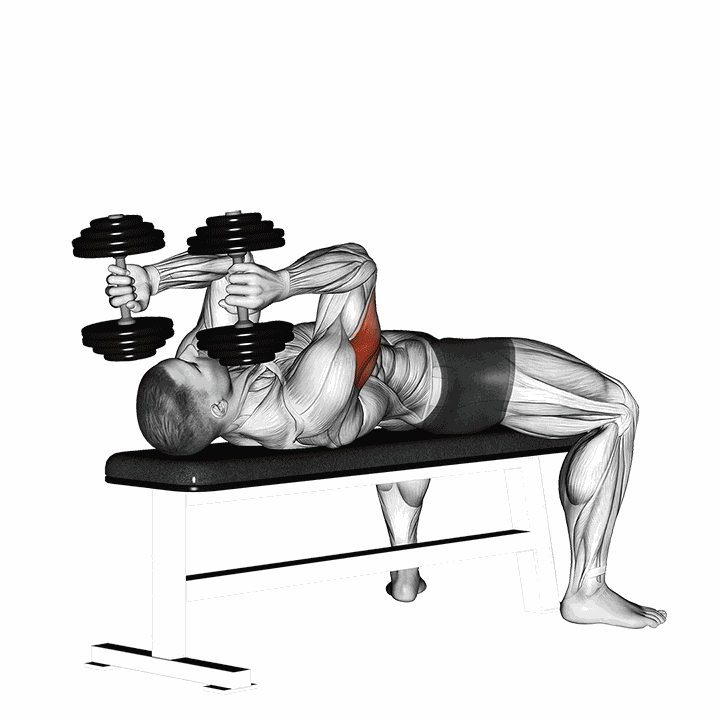 Dumbbell Lying Triceps Extension demonstration
