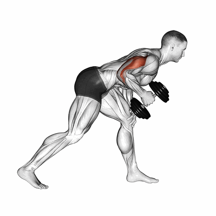 Dumbbell One Arm Kickback demonstration