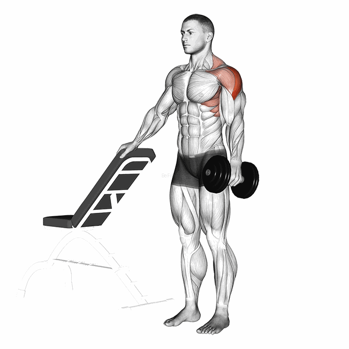 Dumbbell One Arm Lateral Raise With Support demonstration