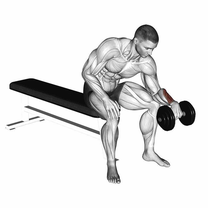 Dumbbell One Arm Reverse Wrist Curl demonstration