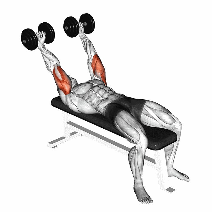 Dumbbell Pronate-grip Triceps Extension demonstration