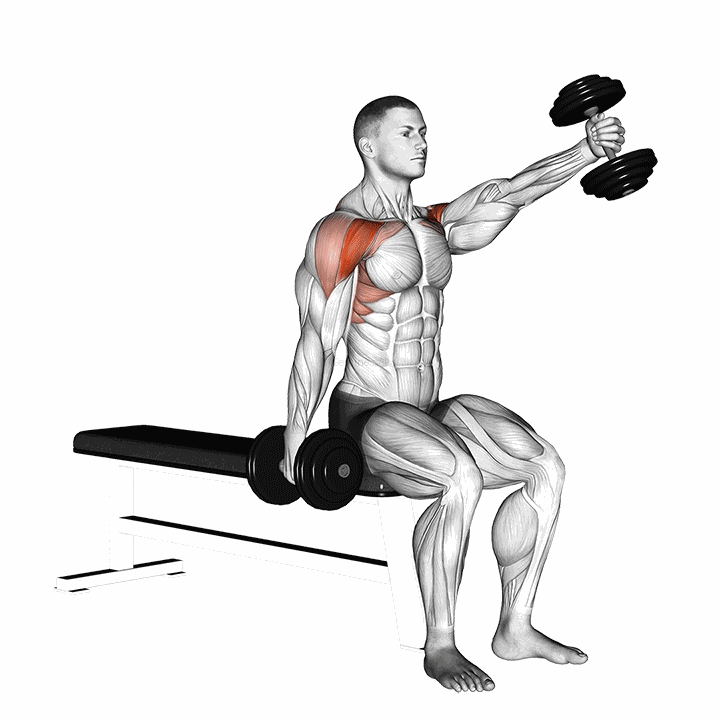 Dumbbell Seated Alternate Front Raise demonstration