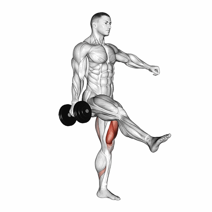 Dumbbell Single Leg Squat demonstration