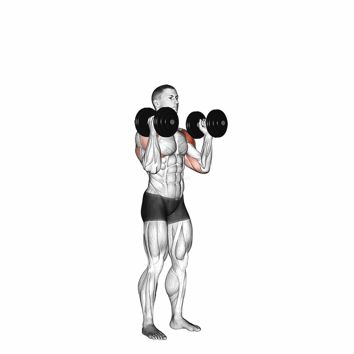 Dumbbell Standing Palms In Press demonstration
