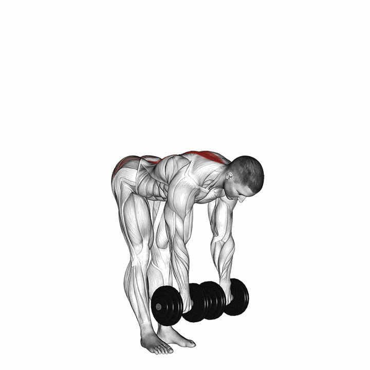 Dumbbell Straight Leg Deadlift demonstration