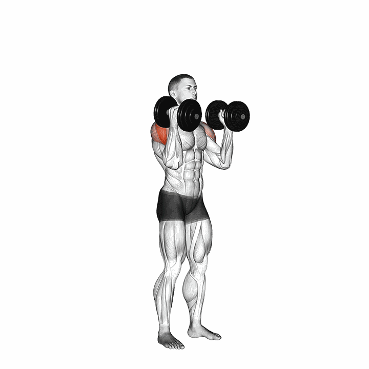 Dumbbell W-press demonstration