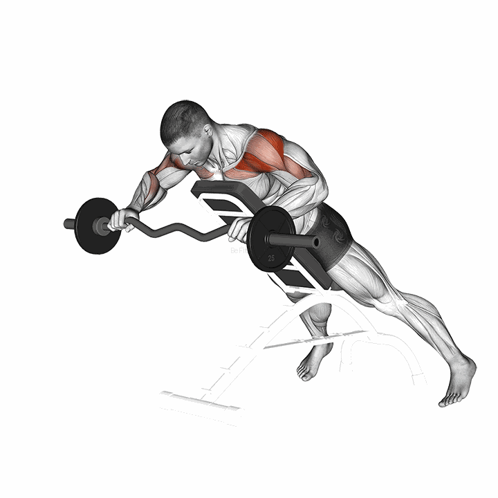 Ez Barbell Anti Gravity Press demonstration