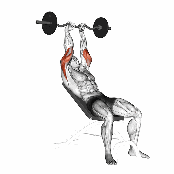 Ez Barbell Incline Triceps Extension demonstration