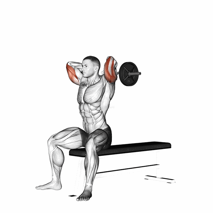 Ez Barbell Seated Triceps Extension demonstration