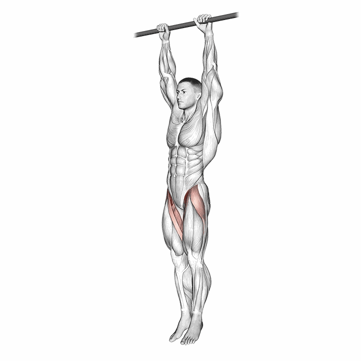 Hanging Leg Raise demonstration