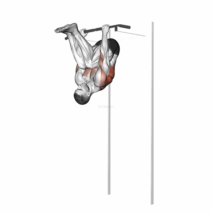 Inverted Row V. 2 demonstration