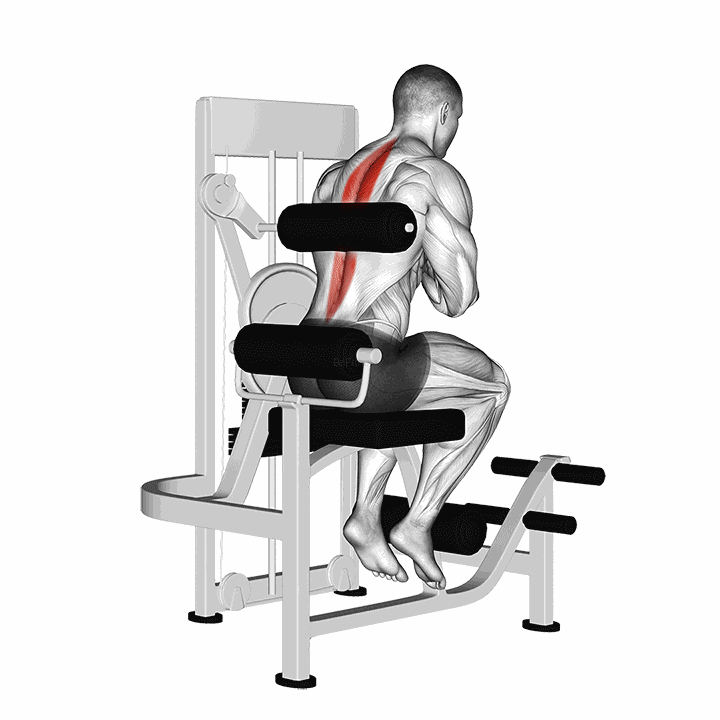 Lever Back Extension demonstration