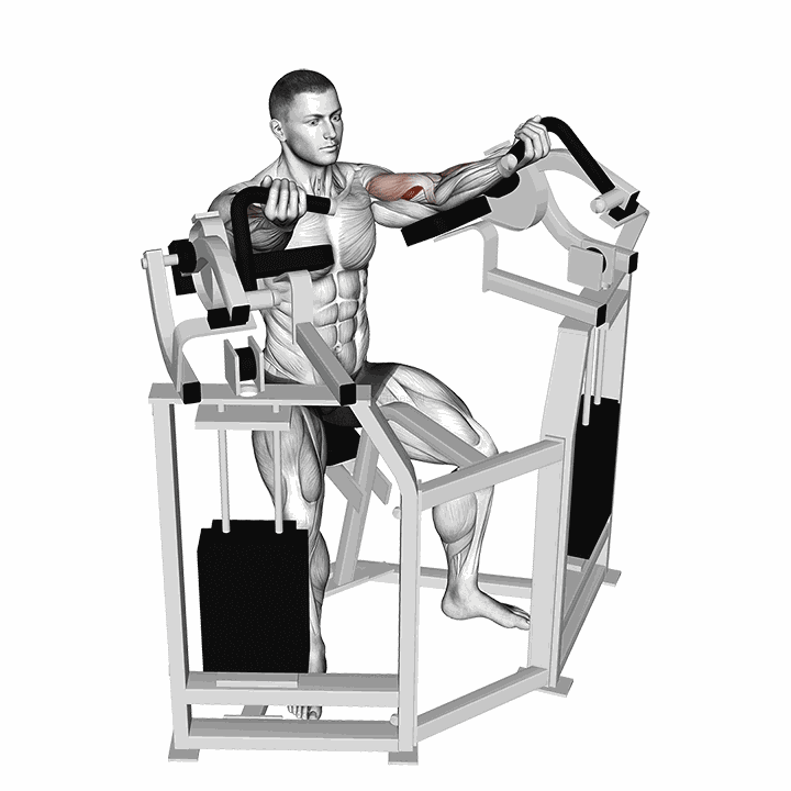 Lever Bicep Curl demonstration