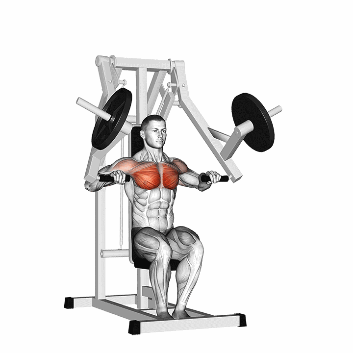 Lever Chest Press demonstration