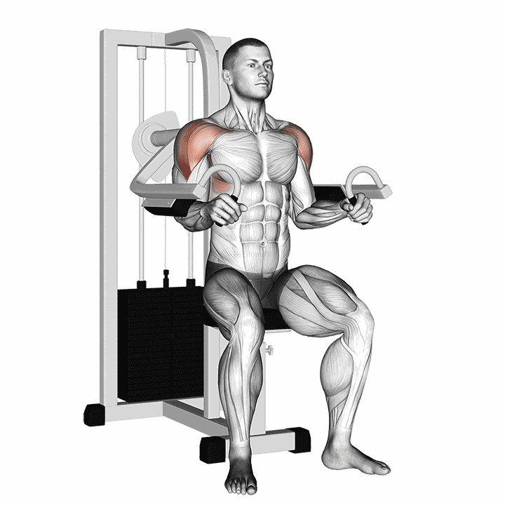 Lever Lateral Raise demonstration