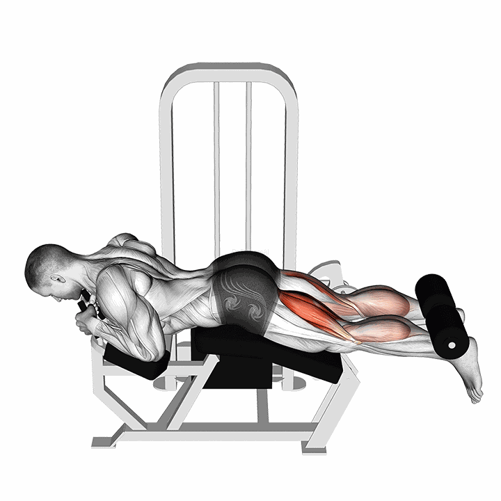 Lever Lying Leg Curl demonstration