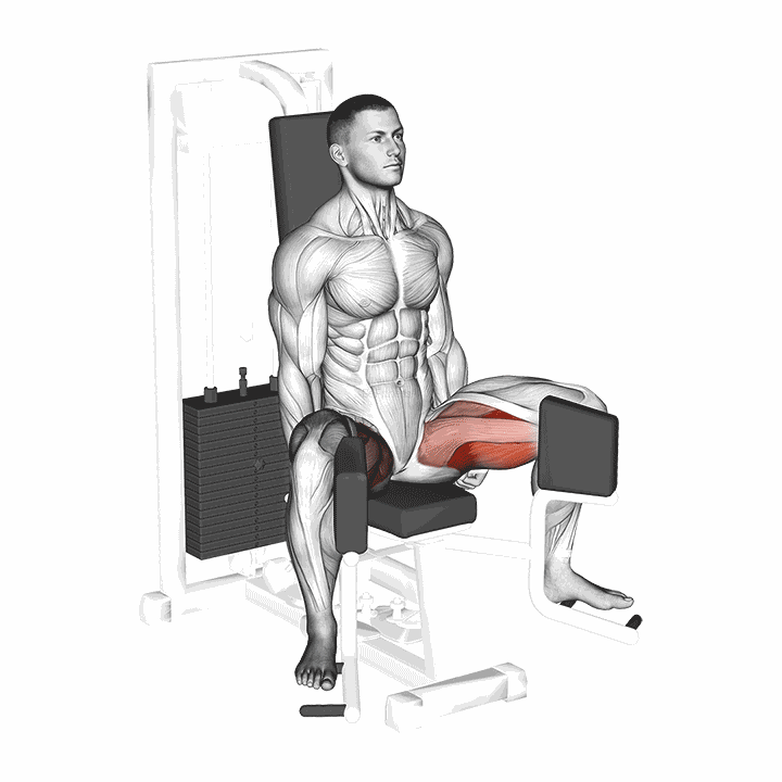 Lever Seated Hip Adduction demonstration