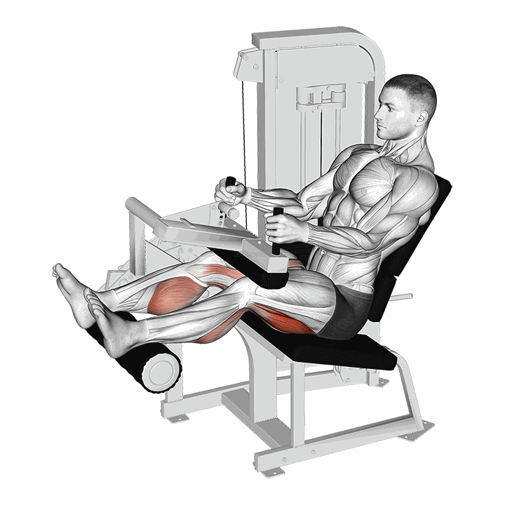 Lever Seated Leg Curl demonstration